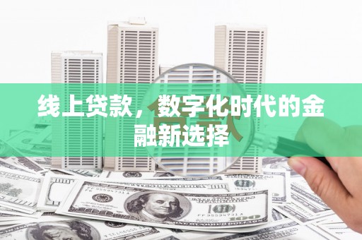 宝塔线上贷款，数字化时代的金融新选择
