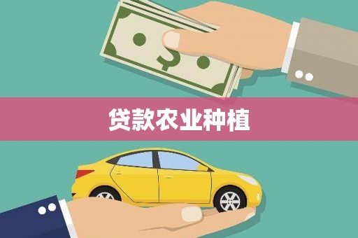 宝塔贷款农业种植