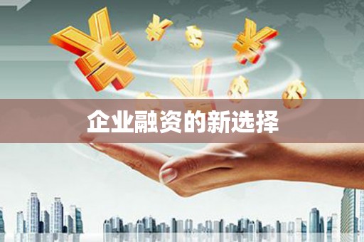 宝塔企业融资的新选择