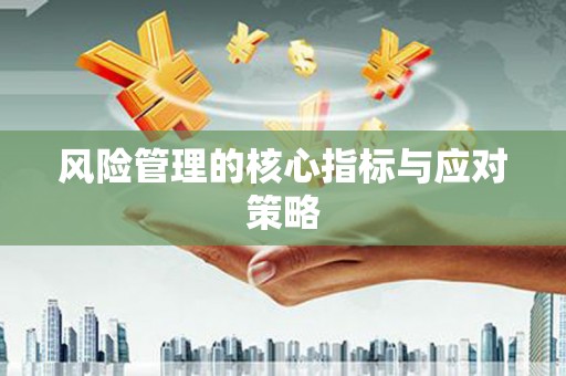 宝塔风险管理的核心指标与应对策略