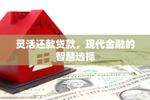 宝塔灵活还款贷款，现代金融的智慧选择
