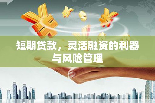 宝塔短期贷款，灵活融资的利器与风险管理