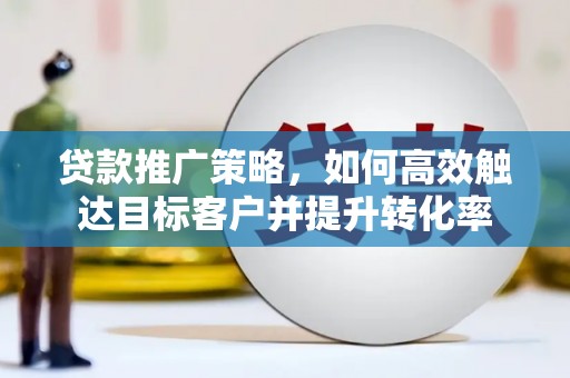 宝塔贷款推广策略，如何高效触达目标客户并提升转化率