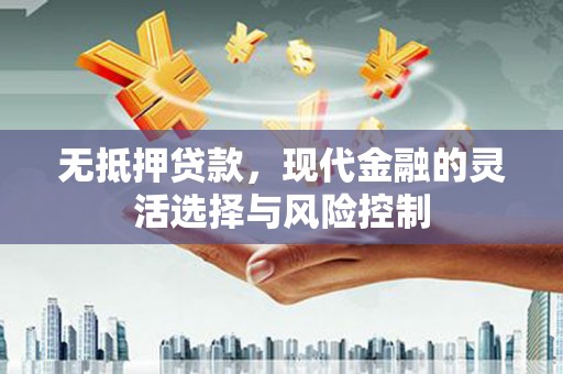宝塔无抵押贷款，现代金融的灵活选择与风险控制