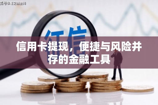 宝塔信用卡提现，便捷与风险并存的金融工具