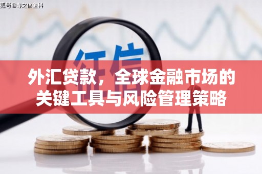 宝塔外汇贷款，全球金融市场的关键工具与风险管理策略