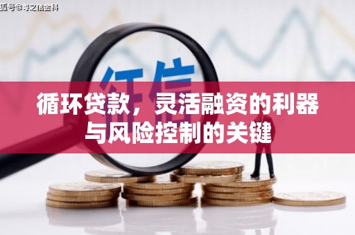 宝塔循环贷款，灵活融资的利器与风险控制的关键