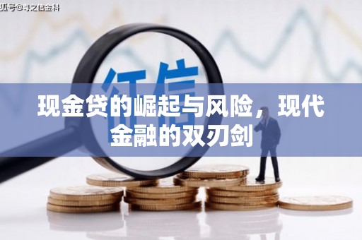 宝塔现金贷的崛起与风险，现代金融的双刃剑
