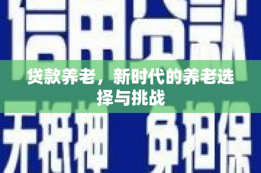 宝塔贷款养老，新时代的养老选择与挑战