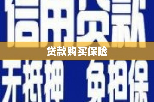 宝塔贷款购买保险