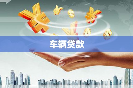 宝塔车辆贷款