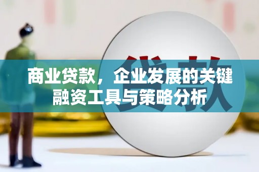 宝塔商业贷款，企业发展的关键融资工具与策略分析