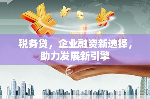 宝塔税务贷，企业融资新选择，助力发展新引擎