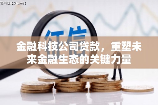宝塔金融科技公司贷款，重塑未来金融生态的关键力量