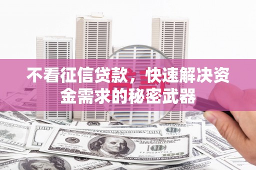 宝塔不看征信贷款，快速解决资金需求的秘密武器