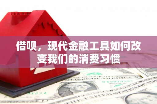 宝塔借呗，现代金融工具如何改变我们的消费习惯