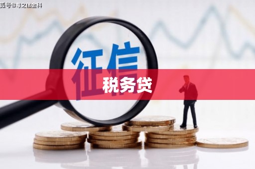 宝塔税务贷