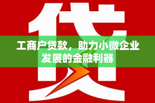宝塔工商户贷款，助力小微企业发展的金融利器
