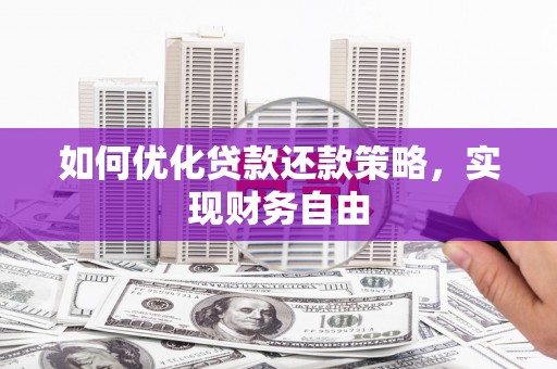 宝塔如何优化贷款还款策略，实现财务自由