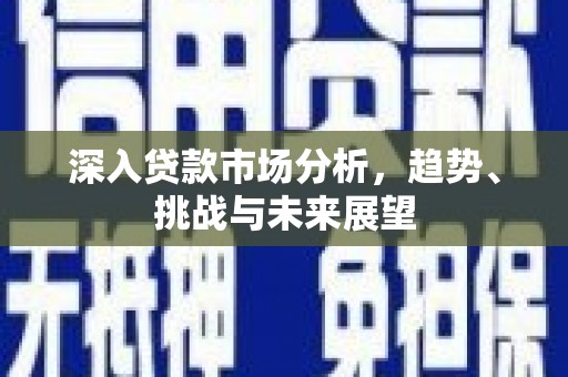 宝塔深入贷款市场分析，趋势、挑战与未来展望