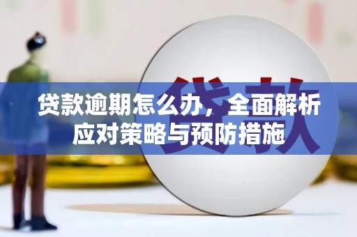 宝塔贷款逾期怎么办，全面解析应对策略与预防措施