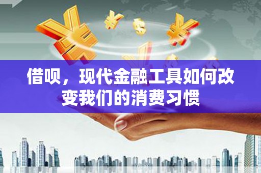 宝塔借呗，现代金融工具如何改变我们的消费习惯
