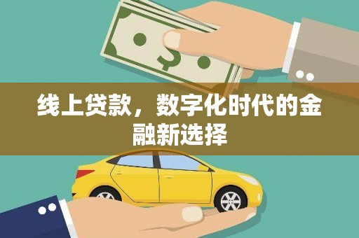 宝塔线上贷款，数字化时代的金融新选择