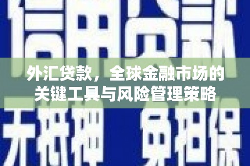 宝塔外汇贷款，全球金融市场的关键工具与风险管理策略