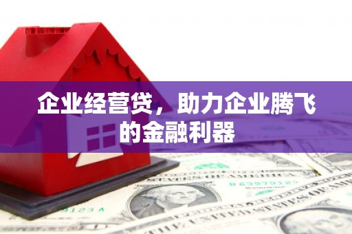 宝塔企业经营贷，助力企业腾飞的金融利器