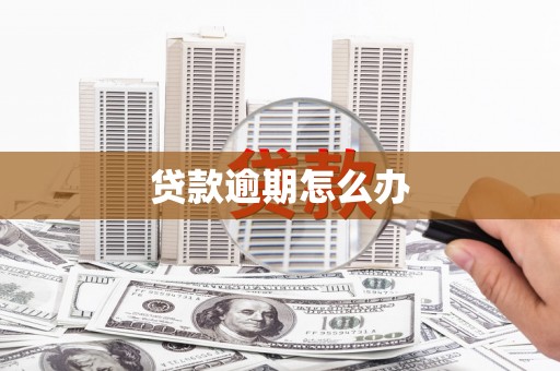 宝塔贷款逾期怎么办