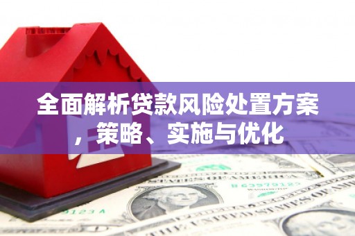 宝塔全面解析贷款风险处置方案，策略、实施与优化