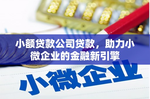 宝塔小额贷款公司贷款，助力小微企业的金融新引擎