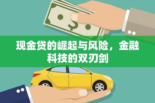 宝塔现金贷的崛起与风险，金融科技的双刃剑