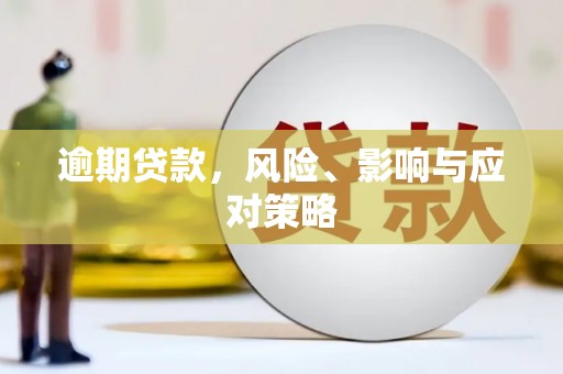 宝塔逾期贷款，风险、影响与应对策略