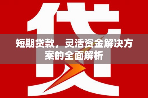 宝塔短期贷款，灵活资金解决方案的全面解析