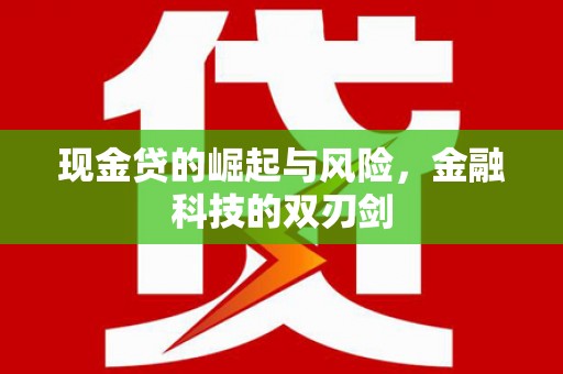 宝塔现金贷的崛起与风险，金融科技的双刃剑