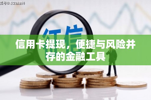 宝塔信用卡提现，便捷与风险并存的金融工具