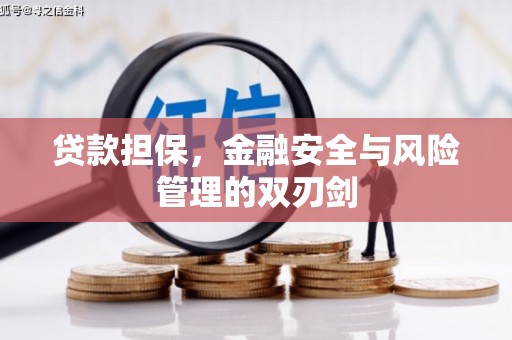 宝塔贷款担保，金融安全与风险管理的双刃剑