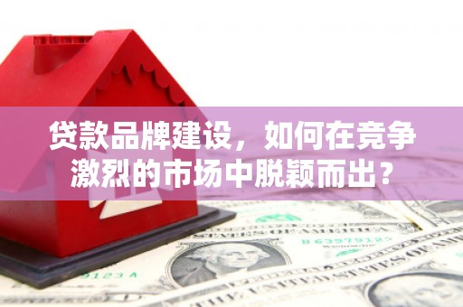 宝塔贷款品牌建设，如何在竞争激烈的市场中脱颖而出？