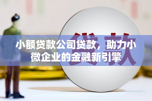 宝塔小额贷款公司贷款，助力小微企业的金融新引擎