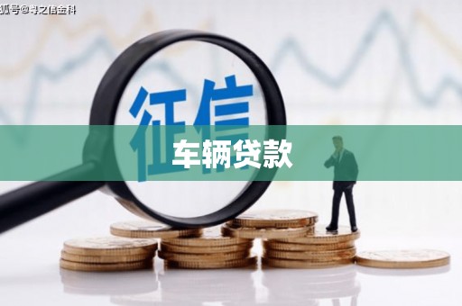 宝塔车辆贷款