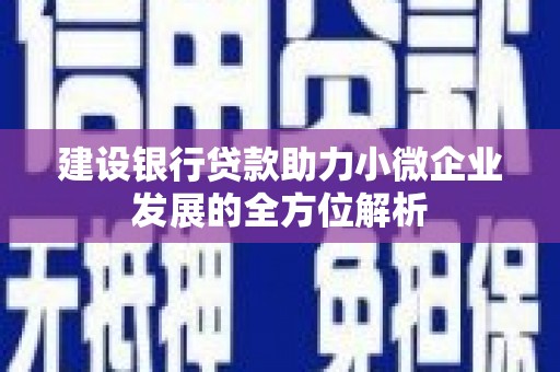 宝塔建设银行贷款助力小微企业发展的全方位解析
