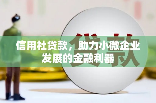 宝塔信用社贷款，助力小微企业发展的金融利器
