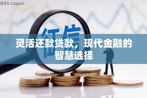 宝塔灵活还款贷款，现代金融的智慧选择