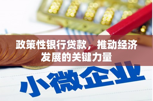宝塔政策性银行贷款，推动经济发展的关键力量