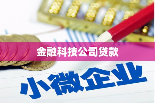 宝塔金融科技公司贷款