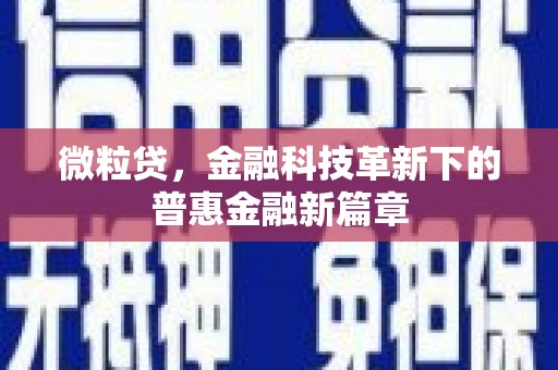 宝塔微粒贷，金融科技革新下的普惠金融新篇章