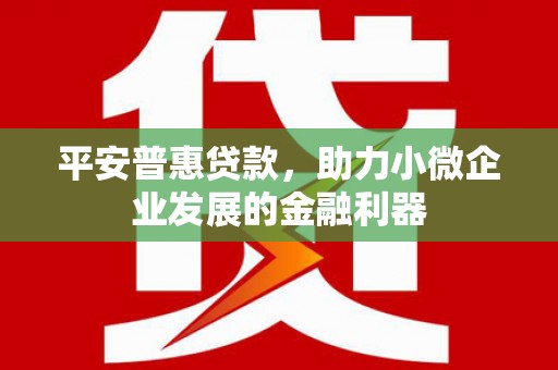 宝塔平安普惠贷款，助力小微企业发展的金融利器