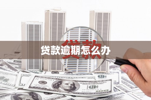 宝塔贷款逾期怎么办
