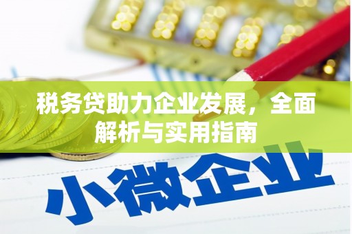 宝塔税务贷助力企业发展，全面解析与实用指南